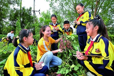 不茫然对能工巧匠更向往PG电子试玩对未来职业(图3)